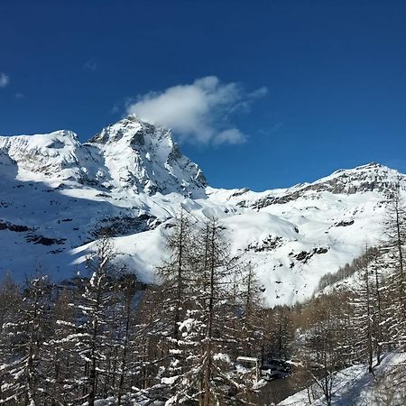 Cervinia Apartments Breuil-Cervinia Dış mekan fotoğraf