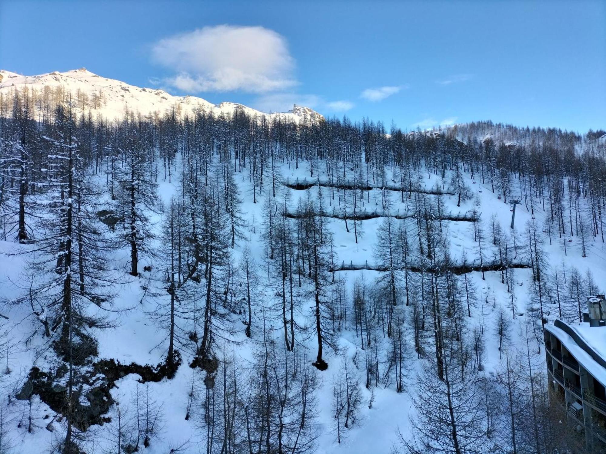 Cervinia Apartments Breuil-Cervinia Dış mekan fotoğraf